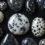 Snowflake Obsidian vs Dalmatian Jasper: The Difference